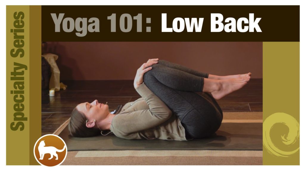 Yoga 101 • Lower Back