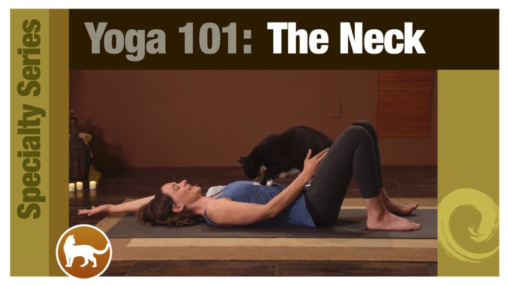 Yoga 101 • The Neck