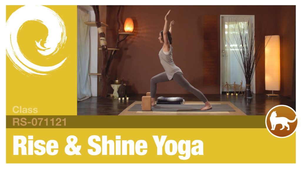 Rise & Shine Yoga • 07-11-21