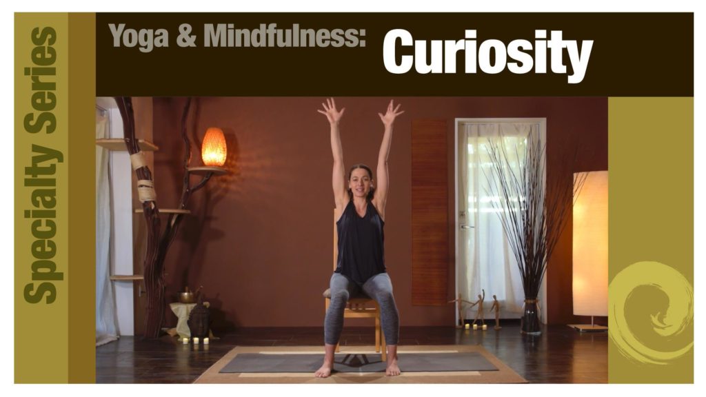 Yoga & Mindfulness: Curiosity
