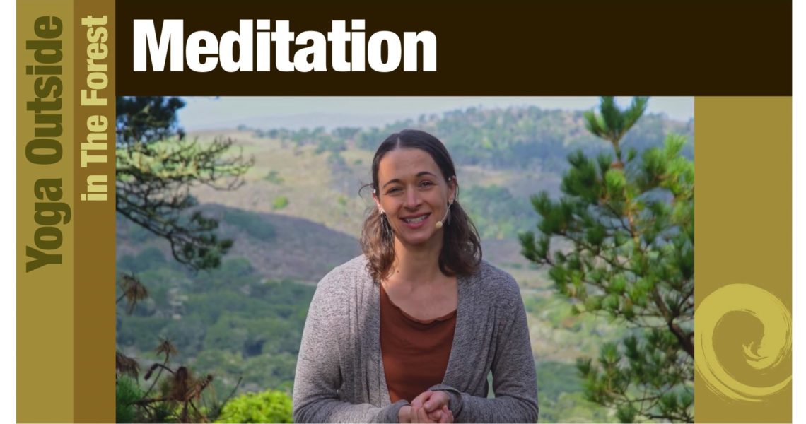 Yoga Outside: Forest Meditation