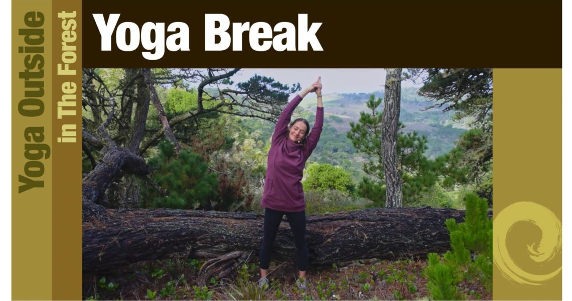 Yoga Outside: Forest Break