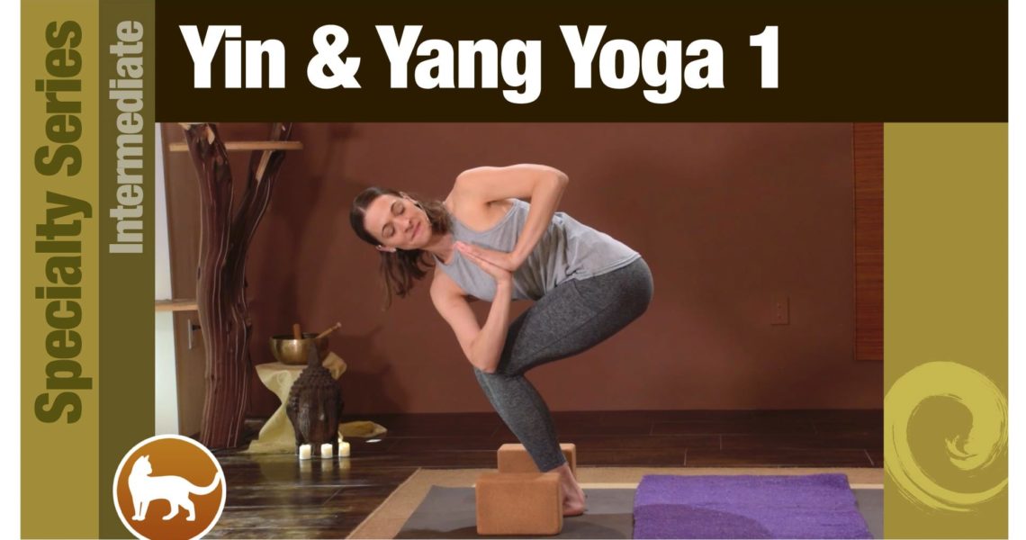 Yin & Yang Yoga 1