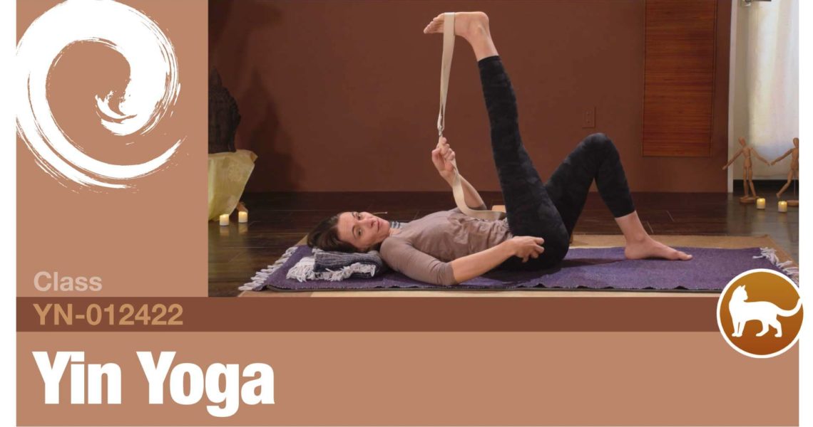 Yin Yoga • 01-24-22