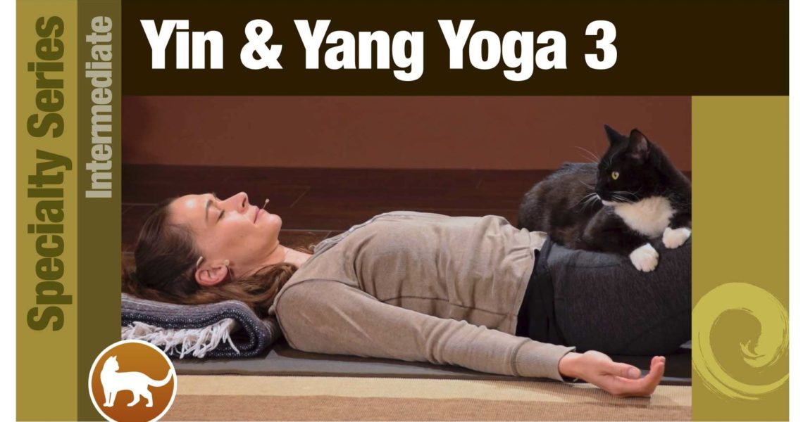 Yin & Yang Yoga 3