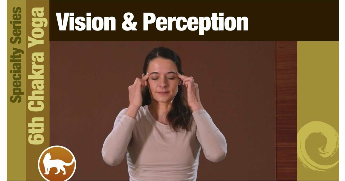 6th Chakra • Vision & Perception