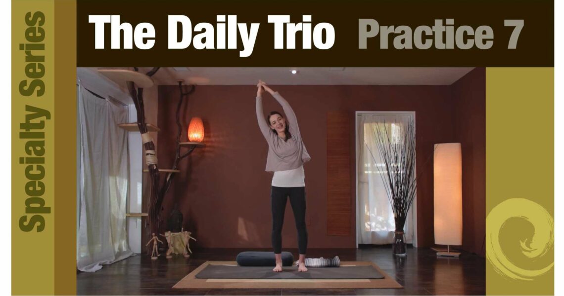 Daily Trio 7