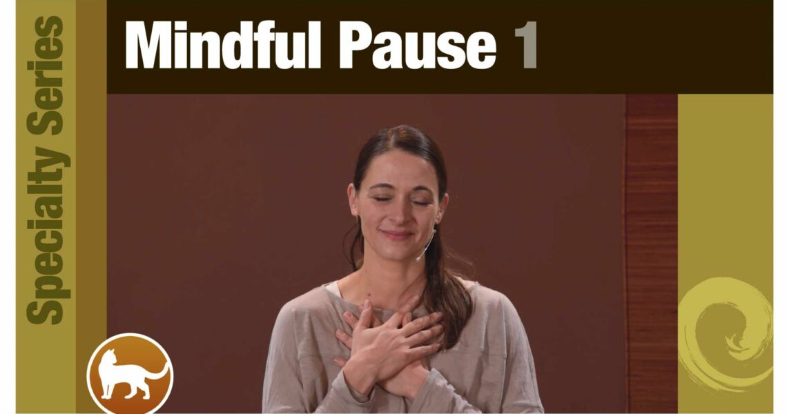 Mindful Pause 1